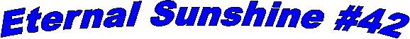 Eternal Sunshine #42