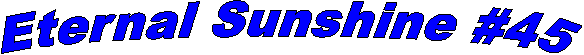 Eternal Sunshine #45