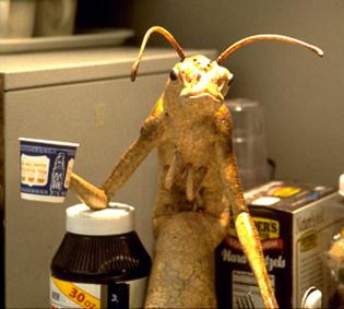 Description: men-in-black-2